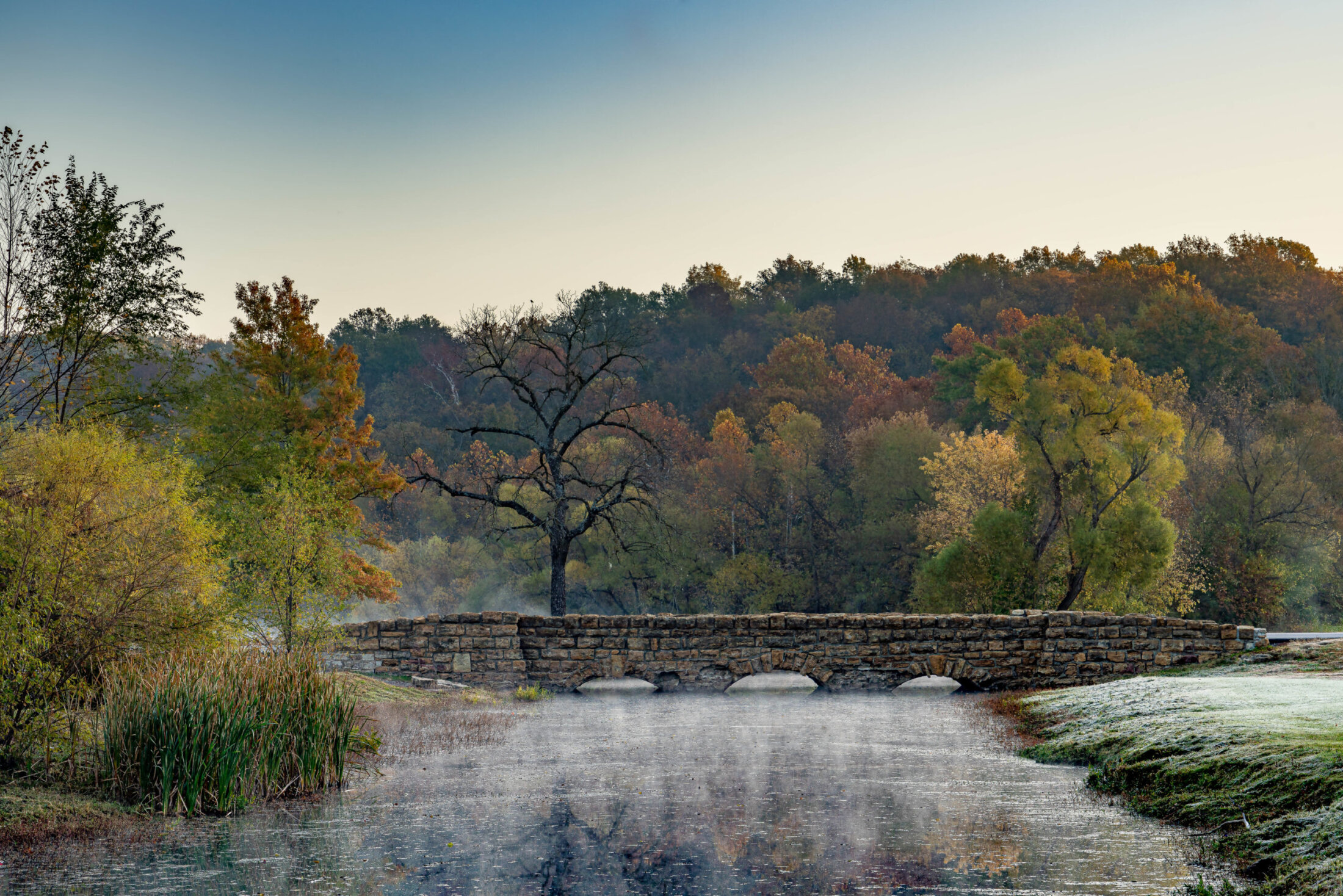 Frosty Misty Morning at the Lake
