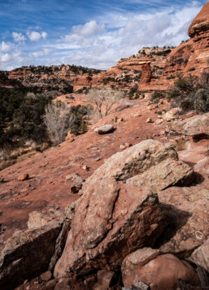 A Cloudy Morning in Road Canyon