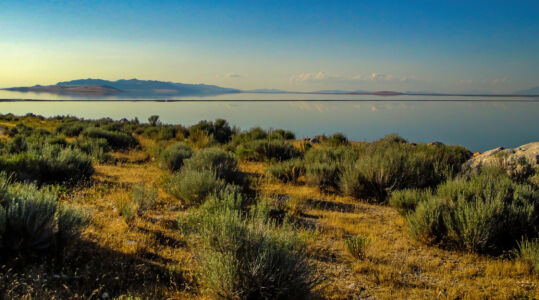 Antelope Island