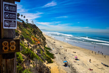 California Beach Life