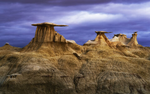 Stone Wings Overcast Blue Hour