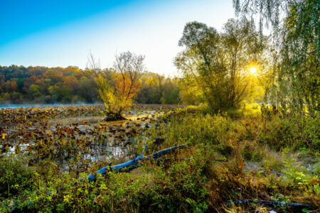 Sunrise Lightens A Fall Morning Mist At The Lake