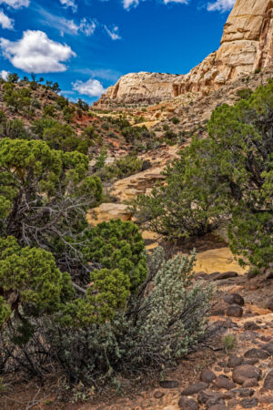 Capital Reef Rim Overlook Peaks